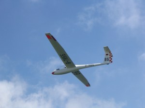 img_8589