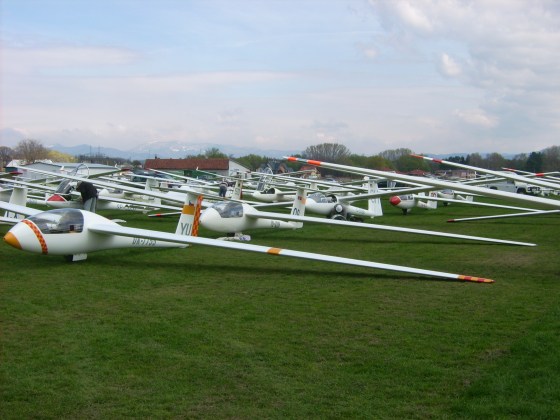 DSCI0078